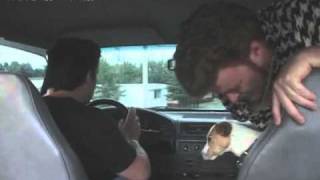 Trailer Park Boys The Best of Ricky Season 1 [upl. by Oirad422]