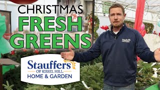 MUSTHAVE Christmas Fresh Greens  Stauffers of Kissel Hill [upl. by Eiduam]