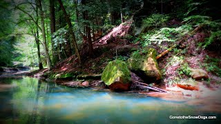 FIRE TORNADO LOG amp Green River [upl. by Sanger421]