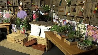 You Garden Live Shopping  Wednesday 24th January 1000 [upl. by Lierbag]