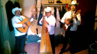 TRIO SIGNO MUSICA VERACRUZANA [upl. by Neelram190]