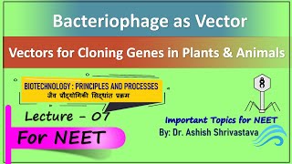 Bacteriophage Vectors  Vectors for cloning genes in plant and animals [upl. by Jesh]