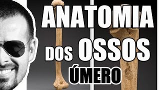 Acidentes ósseos do Úmero  Sistema ÓsseoEsquelético  VideoAula 061 [upl. by Alfeus]