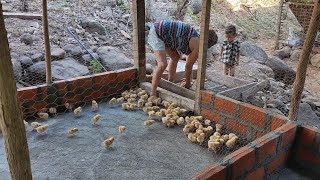 mis gallinas ponedoras ya creciendo con todos los poderes 😲 [upl. by Anileva299]