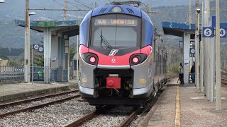 Treni Rosarno  volatile spiaccicato sul frontale del Frecciargento [upl. by Melantha491]