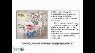 Advanced OAT Mastery Course Organic Acids Test Quinolinic Acid NF kB amp Neuroinflammation [upl. by Zinn]