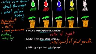 Experiments Explained Clear and Simple Learn the Basics [upl. by Carrnan]