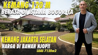 Berasa di istana Bogor Luas 7120 m2  Harga dibawah NJOP  Kemang Jaksel [upl. by Wycoff]