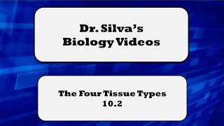 The 4 Tissue Types – 102 – Biol 189 [upl. by Ydor]