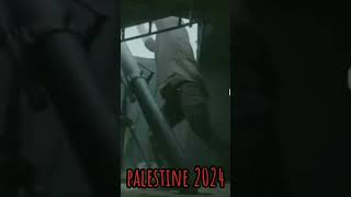 to be continued جزائر فلسطين freepalestine gaza غزة [upl. by Azial508]