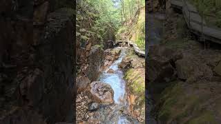 Flume Gorge NH [upl. by Belcher]