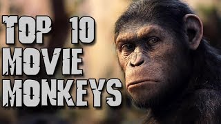 Dark Corners Top Ten Movie Monkeys [upl. by Polish]