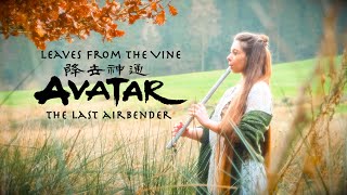 Leaves From The Vine  Avatar The Last Airbender Tin Whistle Version [upl. by Chu]