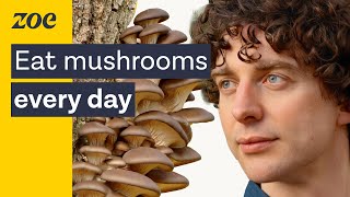 Mushrooms as medicine Uncovering the health secrets of fungi  Merlin Sheldrake amp Prof Tim Spector [upl. by Schindler]