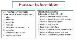 Apraxias [upl. by Holsworth]