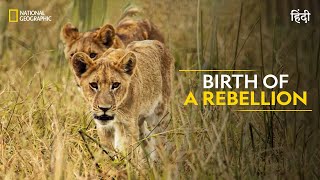 Birth of a Rebellion  Savage Kingdom  Full Episode  S4E2  Nat Geo Wild [upl. by Lyrak]