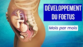 LA GROSSESSE  Le Développement du Foetus Mois par Mois [upl. by Sevy]