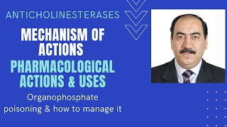 Parasympathomimetics An elaborate explanation of anticholinesterases organophosphates pharmacology [upl. by Ocirne]