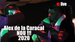 Alex de la Caracal  Prietenia tine numai pana la bani  Live 2020 [upl. by Dey]