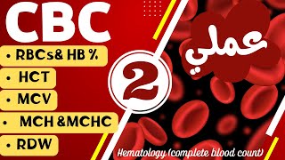 35تحليل صورة الدم الكاملة CBC خلايا الدم الحمراء الجزء الثاني عملي Red blood cells [upl. by Tace]