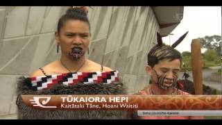 Auckland primary schools hold their kapa haka regionals [upl. by Aisital]