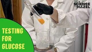 Food Tests How To Test For Glucose  Biology Practicals [upl. by Anitroc]