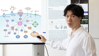 How to draw AMPK pathway in Inkscape  Graphical abstract tutorial [upl. by Lindahl658]