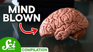 5 Brain Facts That Will Blow Your Mind [upl. by Htehpaj]