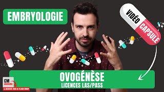 💊CAPSULE DE COURS  Quoi maîtriser sur LOVOGENESE en embryologie en Licences LASPASS [upl. by Griz238]