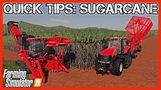 QUICK TIPS SUGARCANE  Farming Simulator 19 [upl. by Sara]