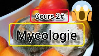 Mycologiecours2⚠️⚠️👍 [upl. by Aderb417]