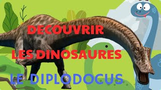 DECOUVRIR LES DINOSAURES  LE DIPLODOCUS  APPRENDRE LES DINOS  HISTOIRES POUR ENFANTS  CONTES [upl. by Jareb714]