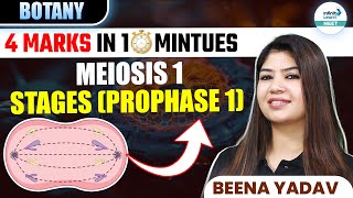 Stages of Prophase 1 of Meiosis 1  🎯4 Marks in ⏰ 10 Minutes  Class 11 botany  NEET 2025 [upl. by Mendelson]