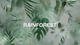 FIORANESE – Rainforest [upl. by Norina]