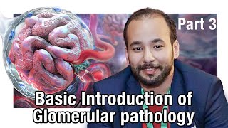 Basic Introduction of Glomerular pathology Part 3  Dr Hazem Abo Shousha  Arabic [upl. by Eudosia]