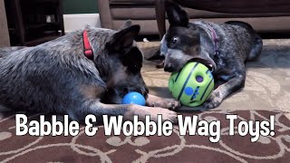 Cattle Dogs Try Wobble Wag amp Babble Ball Toys [upl. by Nav]