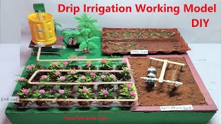 drip irrigation working model for science project  agriculture model DIY at home easily howtofunda [upl. by Atsugua]