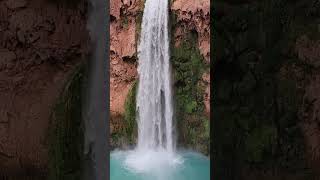 Havasu Falls ❤️ Grand Canyon grandcanyon havasupai short [upl. by Stilu]