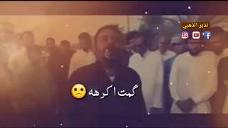 الكلب مثلك حنين وما اتعبه وانته بي 💔 كاطع المياحي [upl. by Letha]