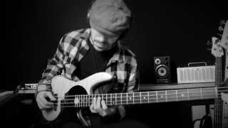 JOHN LEGEND  All of Me Bass Solo Loop Cover by Miki Santamaria Fodera Yin Yang [upl. by Tansy]