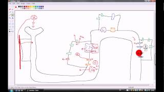 Laymans Terms Diuretics mechanism of actions [upl. by Navac]