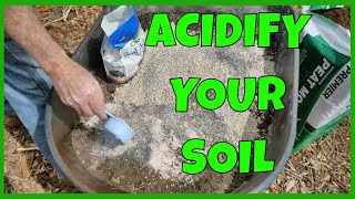 How to Make Blueberry Soil [upl. by Dnalyk]