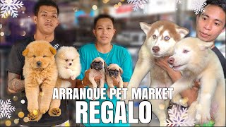 REGALO  ARRANQUE PET MARKET  DECEMBER 21 2023 [upl. by Rednal]