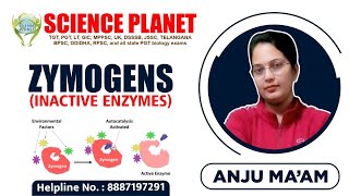 Zymogens Inactive Enzymes Explain by Anju Mam of Science Planet [upl. by Frodin]