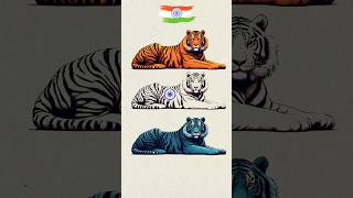 Tiger 🐯 Art 🇮🇳 Indian Flag art 🇮🇳 Independence day special art art shorts short tiger [upl. by Elletnahs]