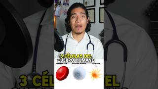 Glóbulos rojos blancos y plaquetas sabiasque medicina [upl. by Suiratnod]