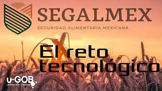 Resolver la encrucijada tecnológica de Segalmex [upl. by Moreno]