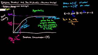 Enzymes Part 2 of 5  Enzyme Kinetics and The Michaelis Menten Model [upl. by Auhsuj]