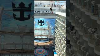 Allure of the Seas Deck 15  Zipline on Royal Caribbean shorts [upl. by Riem]