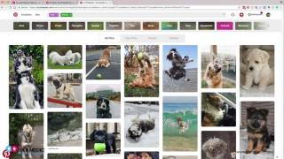 How to create Mood Board with Pinterest [upl. by Okomot637]